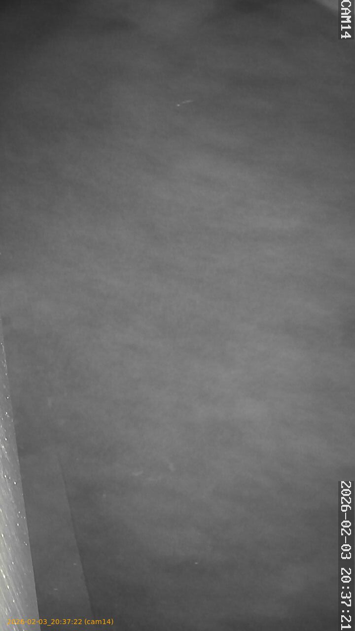 thumbnail_20260203203722