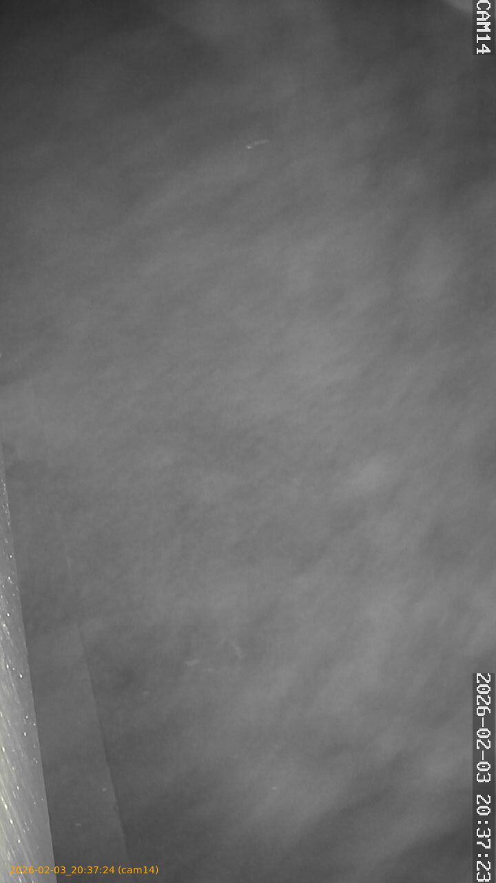 thumbnail_20260203203724