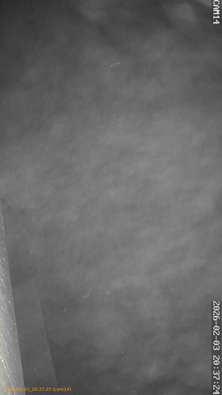 thumbnail_20260203203725