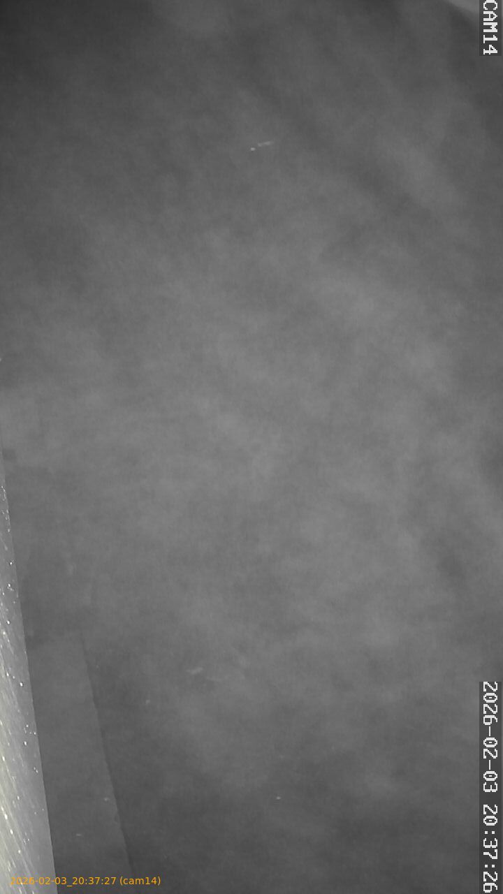 thumbnail_20260203203727