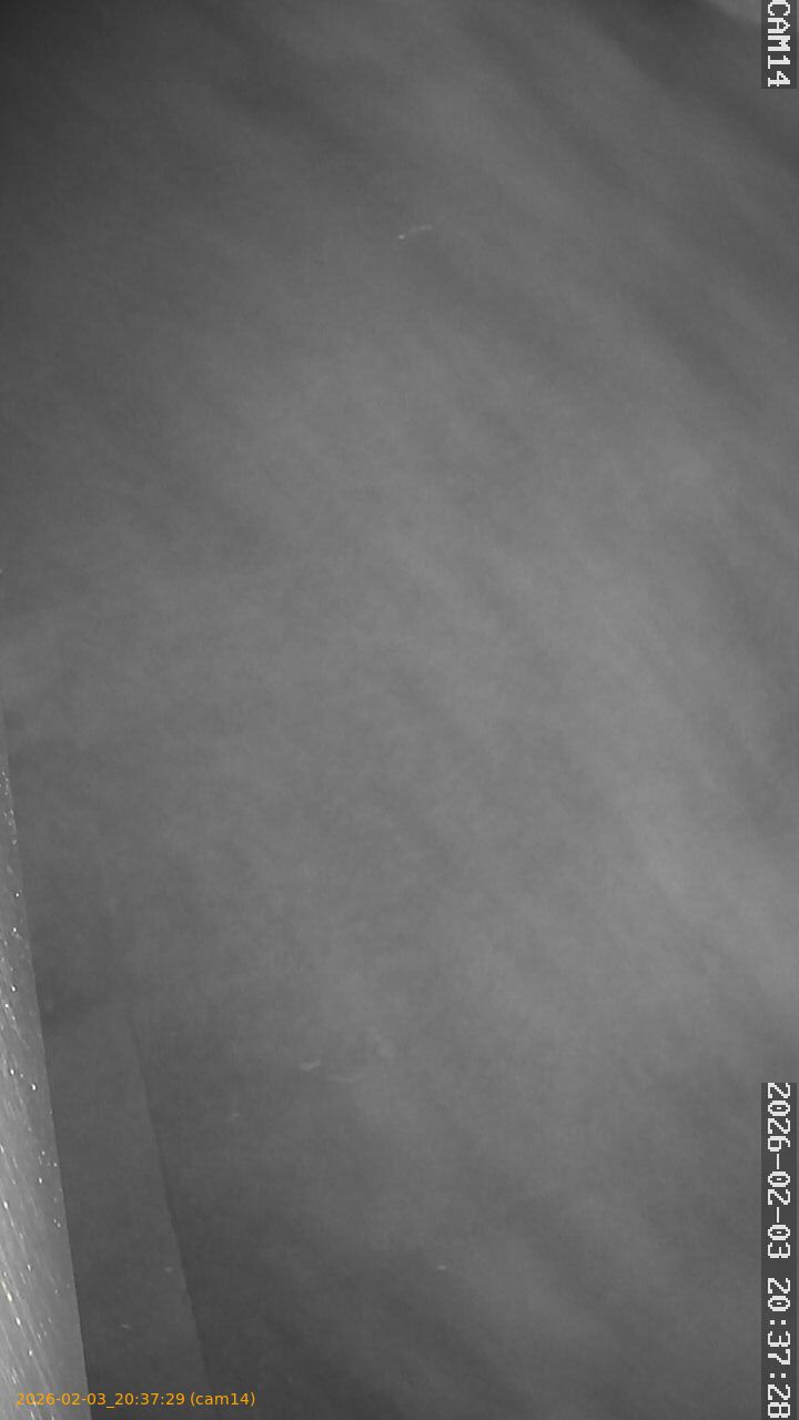 thumbnail_20260203203729