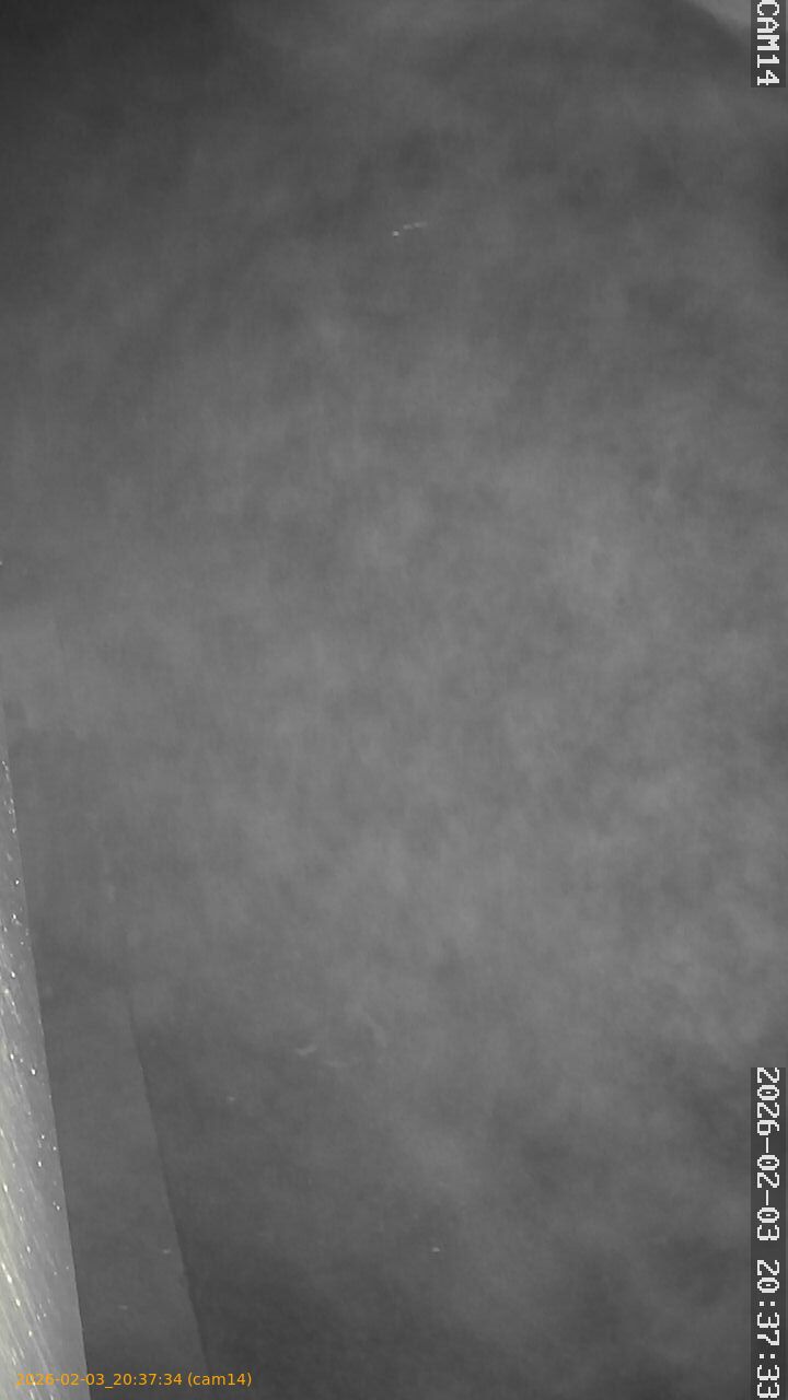 thumbnail_20260203203734