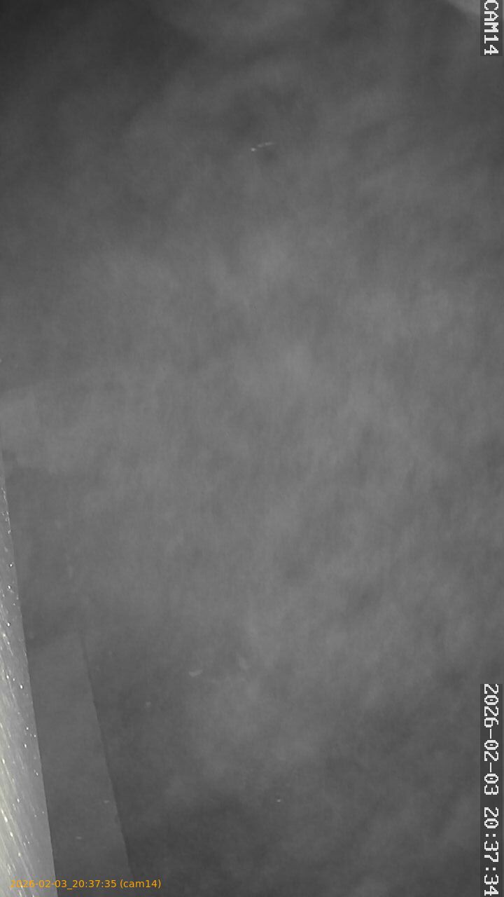 thumbnail_20260203203735