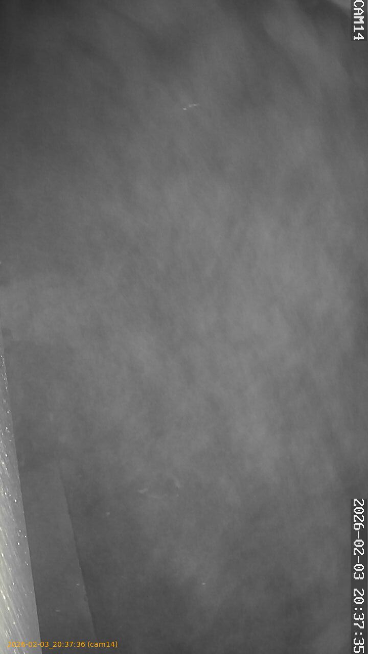 thumbnail_20260203203736