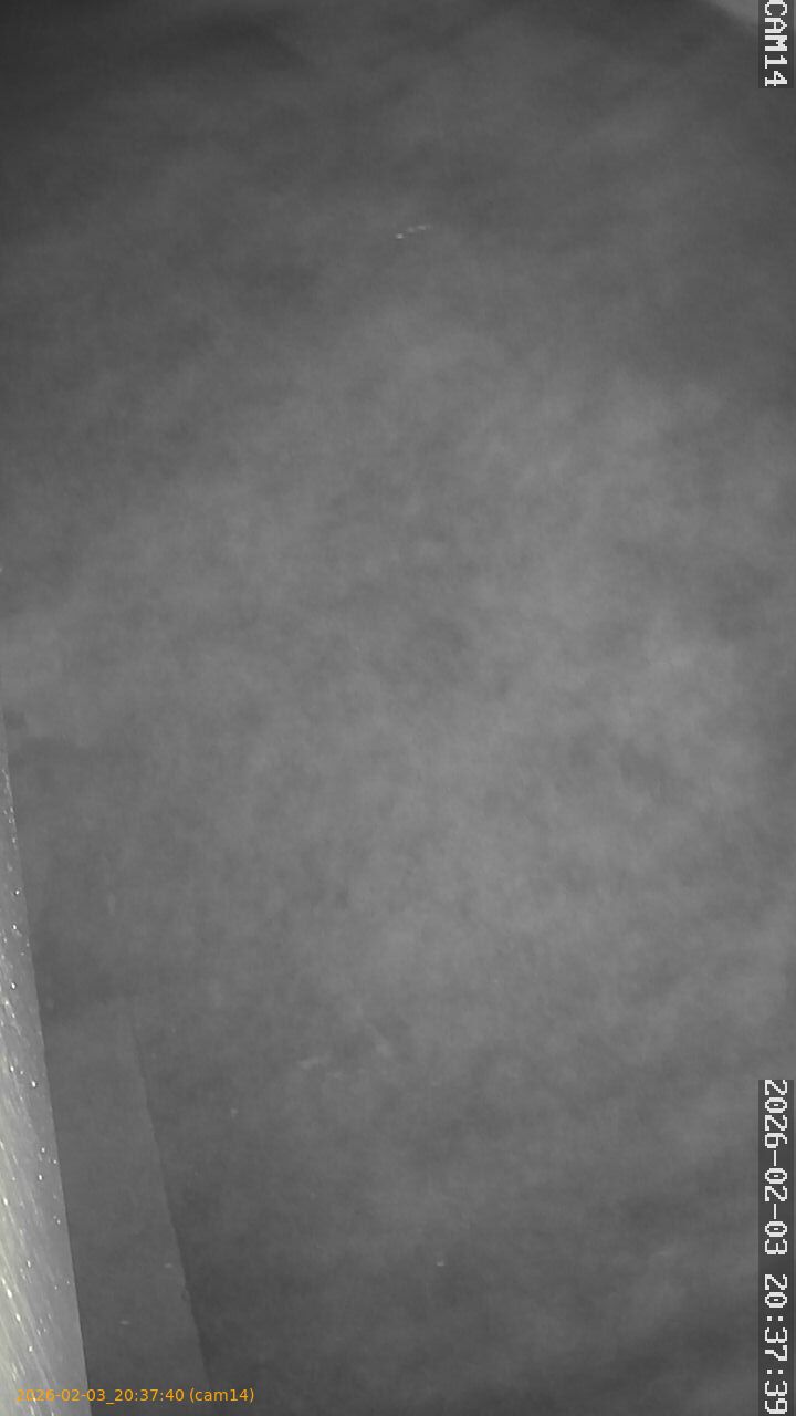 thumbnail_20260203203740