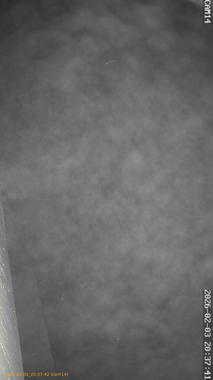 thumbnail_20260203203742