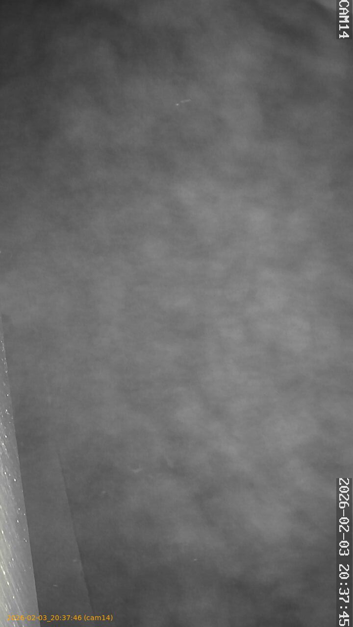 thumbnail_20260203203746