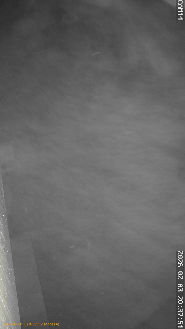 thumbnail_20260203203752