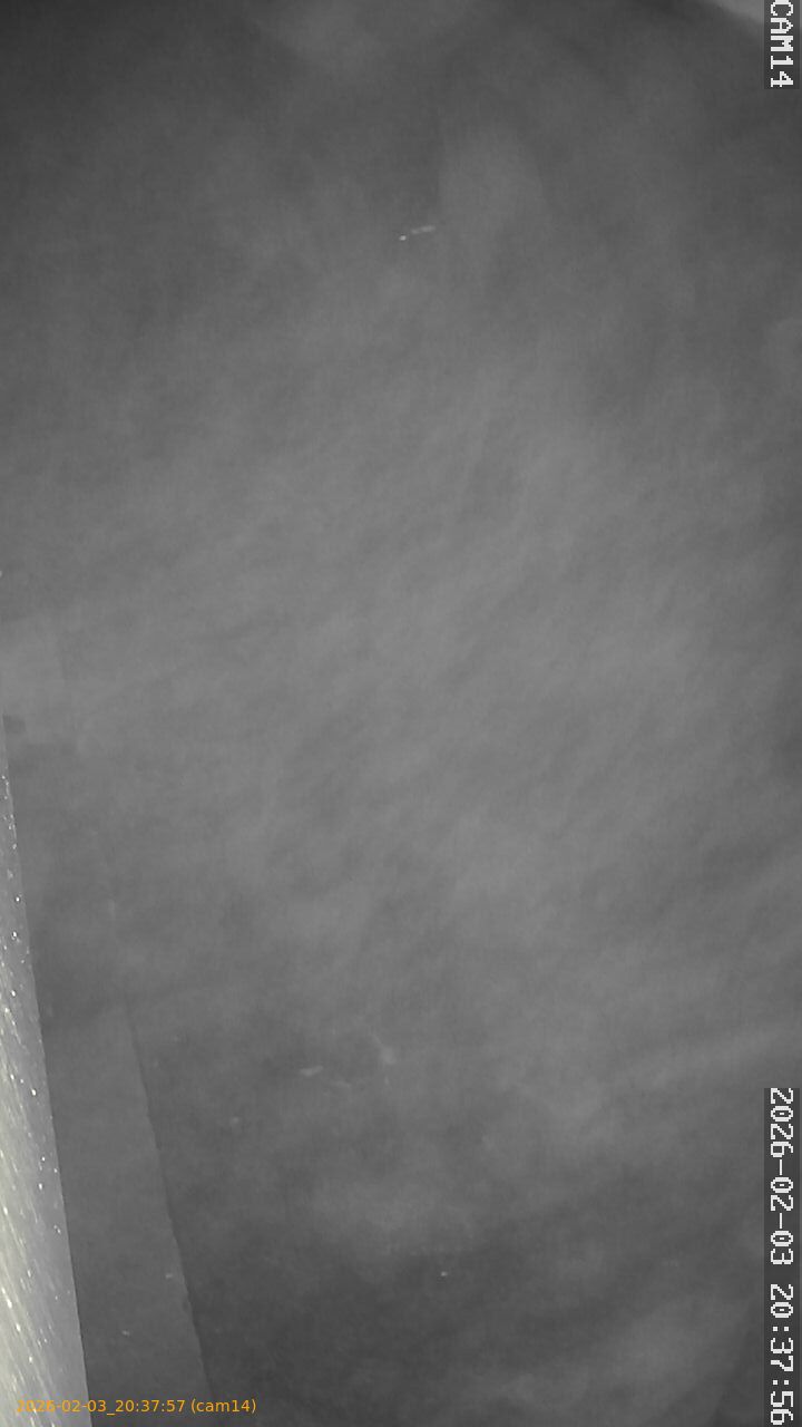 thumbnail_20260203203757