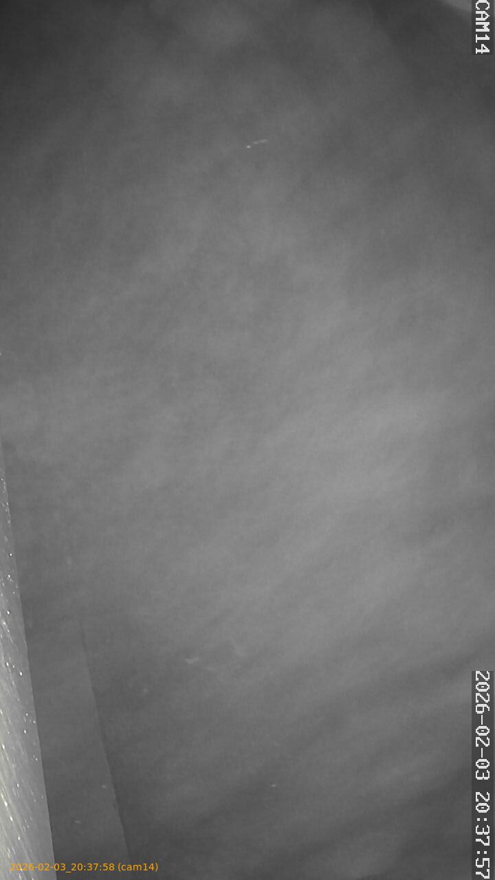 thumbnail_20260203203758