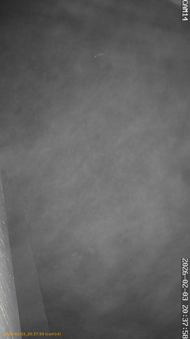 thumbnail_20260203203759