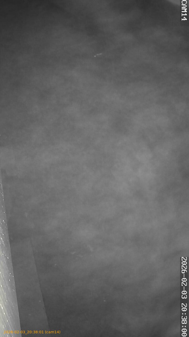 thumbnail_20260203203801