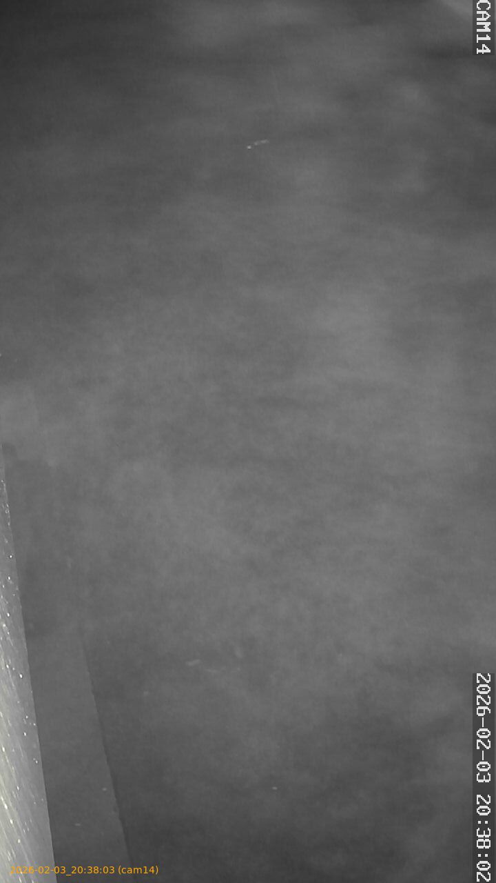 thumbnail_20260203203803