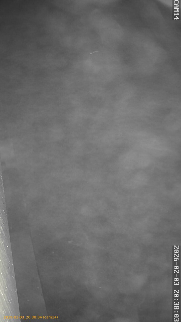 thumbnail_20260203203804