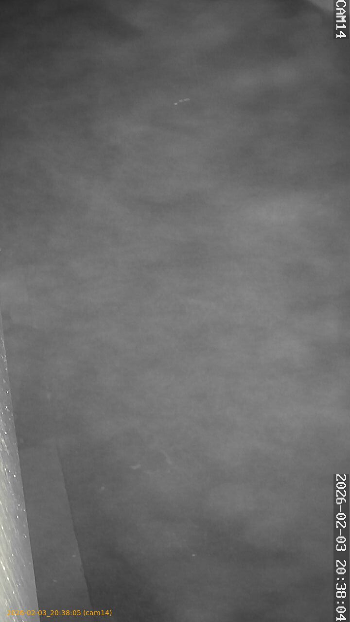 thumbnail_20260203203805