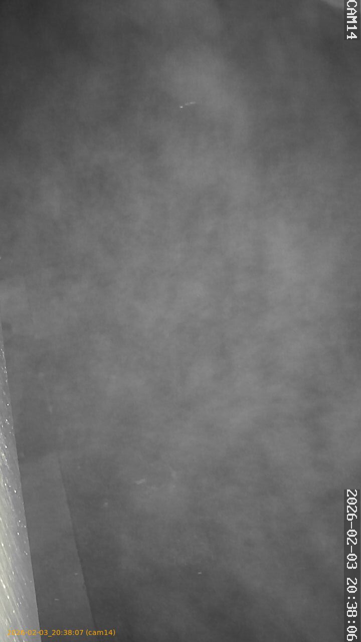 thumbnail_20260203203807