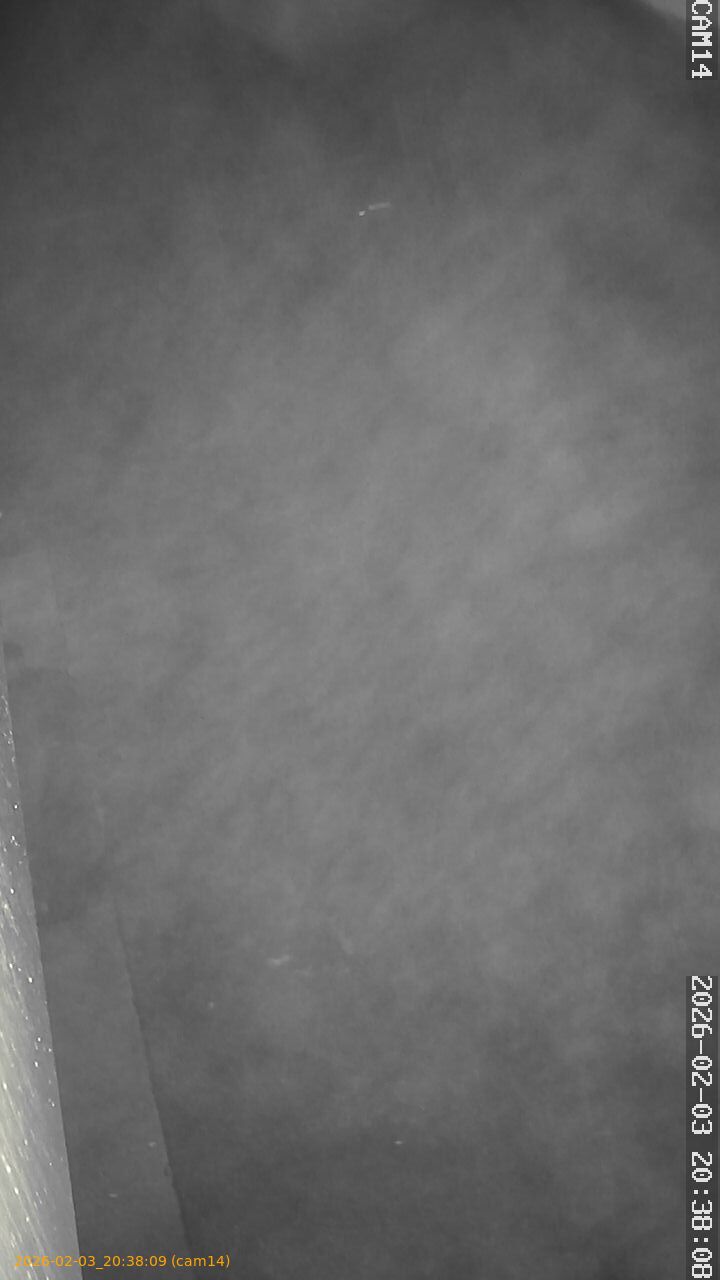 thumbnail_20260203203809