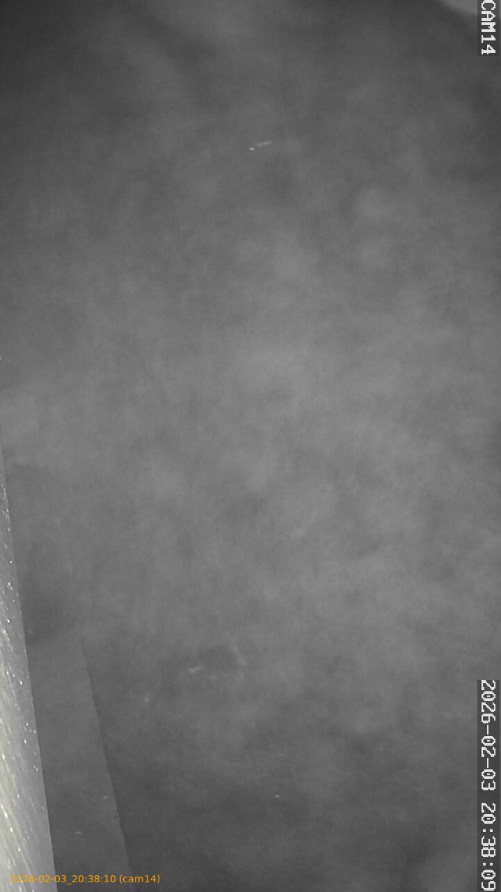 thumbnail_20260203203810