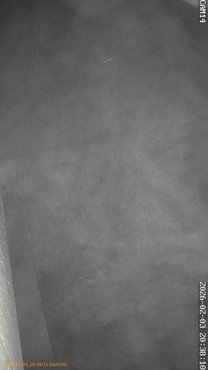 thumbnail_20260203203811