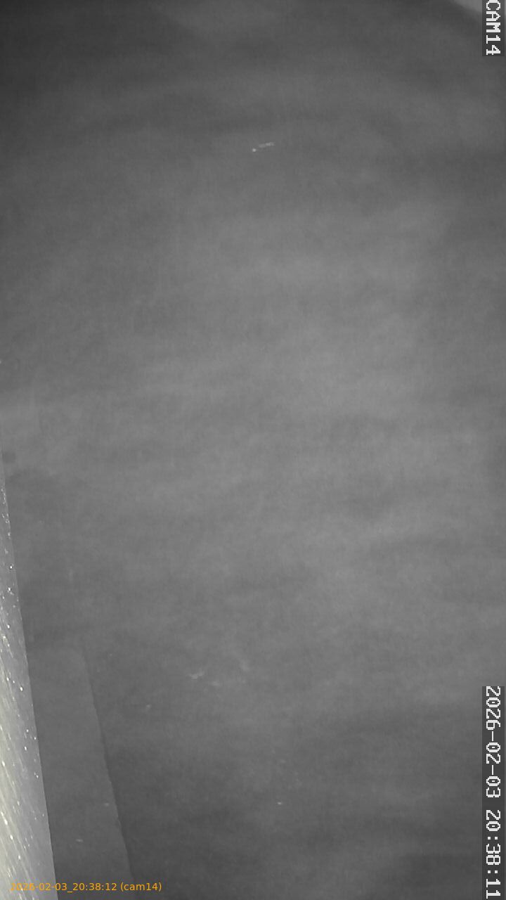 thumbnail_20260203203812