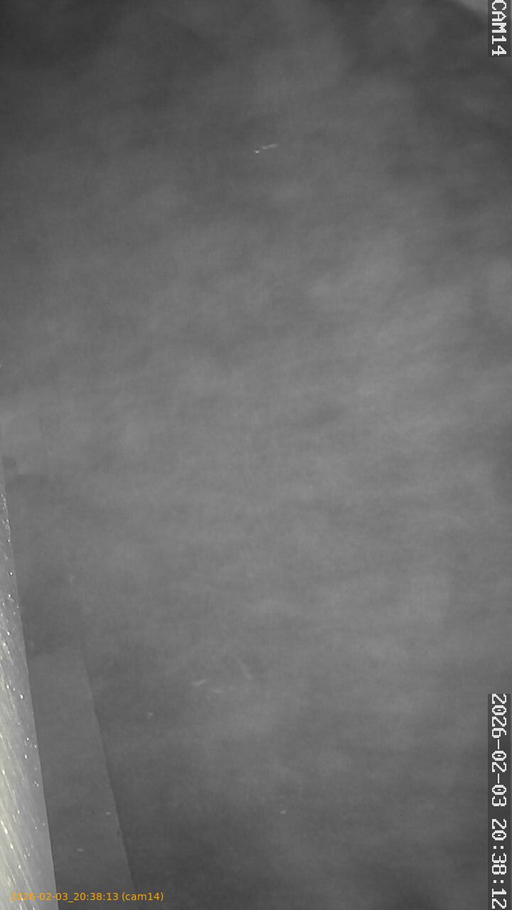 thumbnail_20260203203813