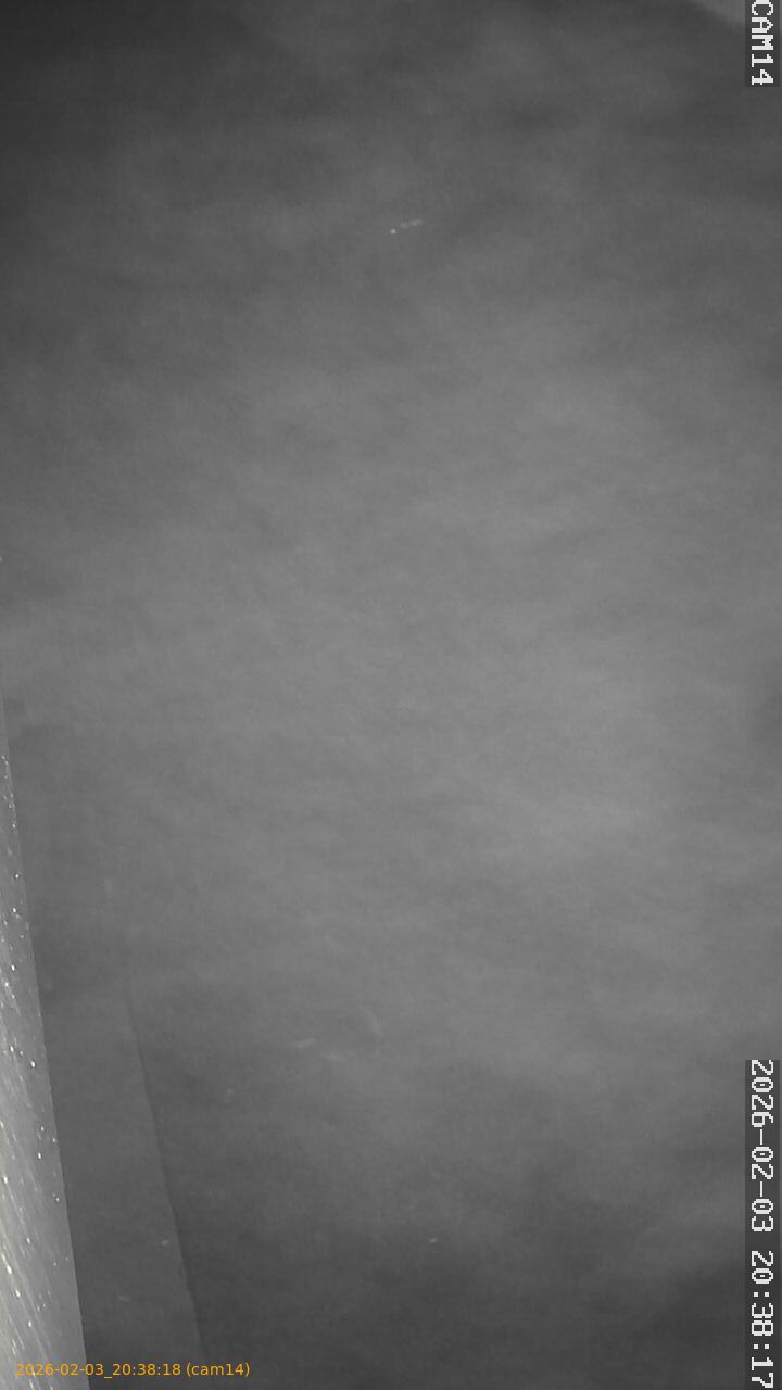 thumbnail_20260203203818