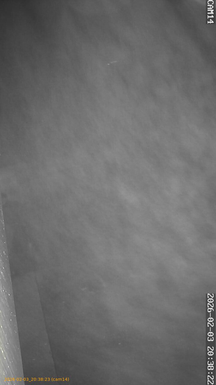 thumbnail_20260203203823