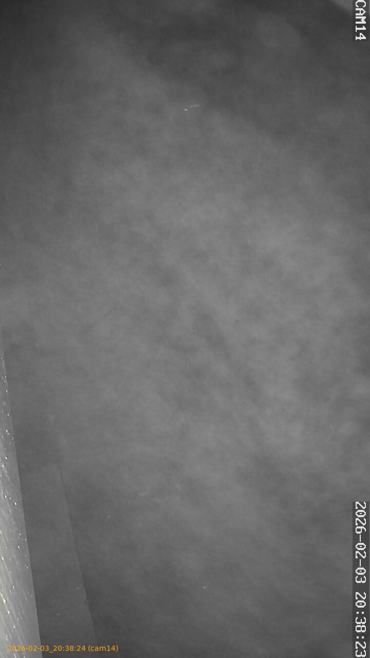 thumbnail_20260203203824