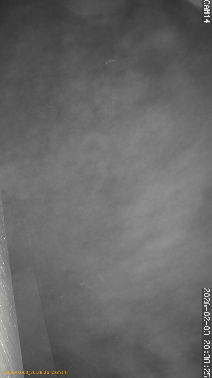 thumbnail_20260203203826