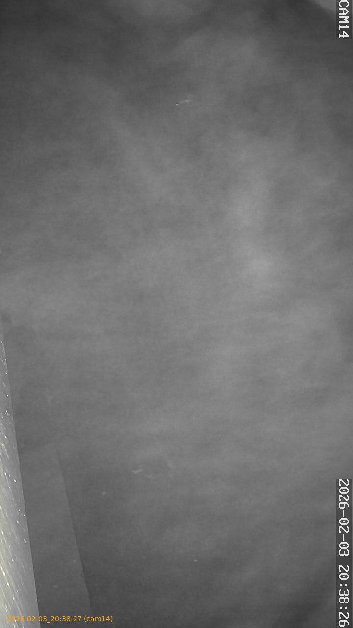 thumbnail_20260203203827