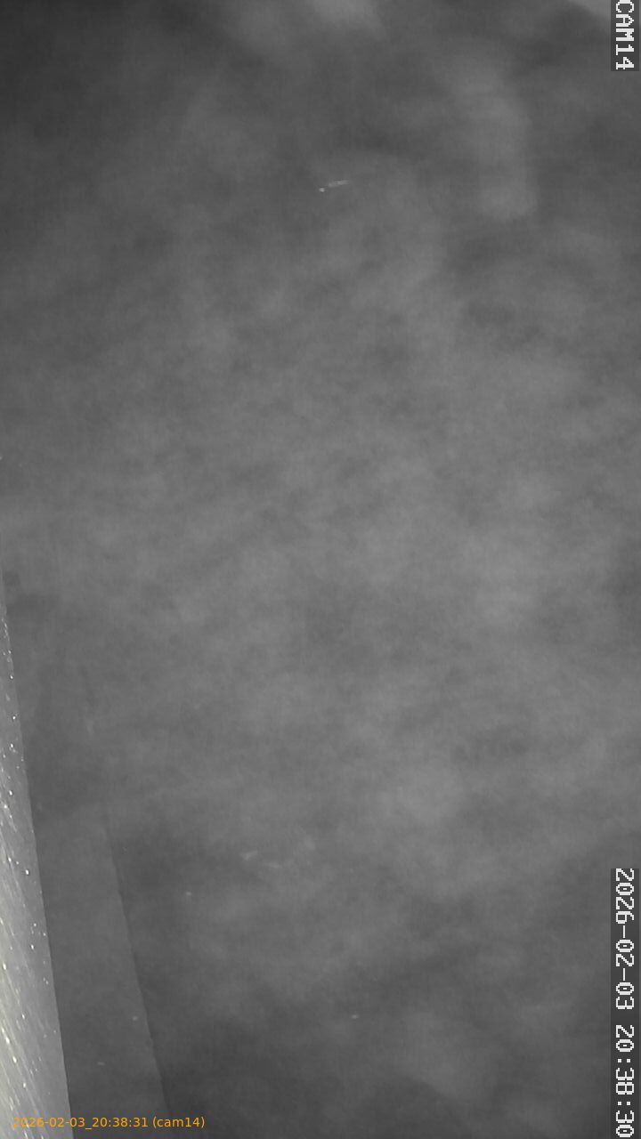 thumbnail_20260203203831