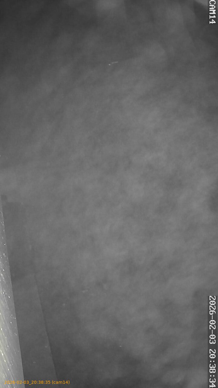 thumbnail_20260203203835