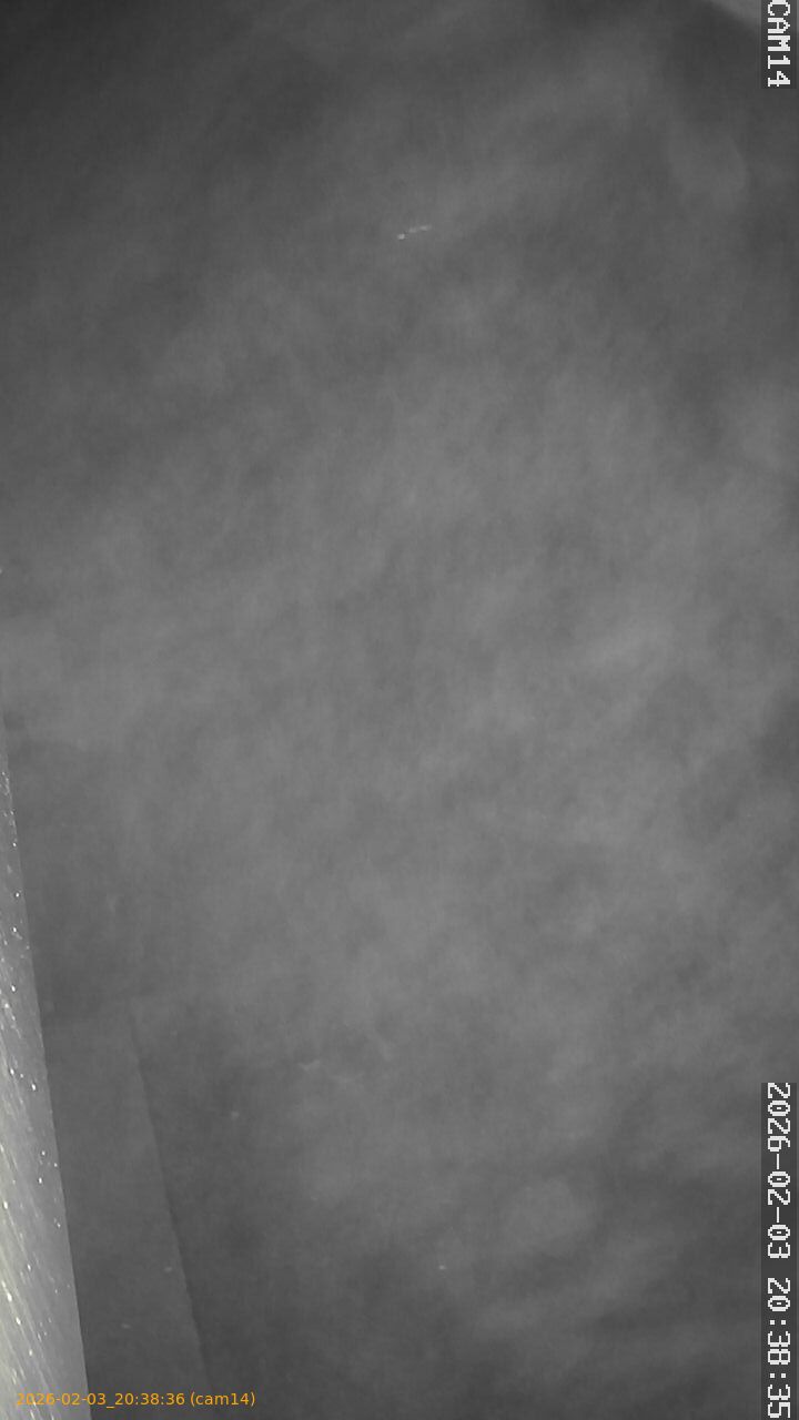 thumbnail_20260203203836