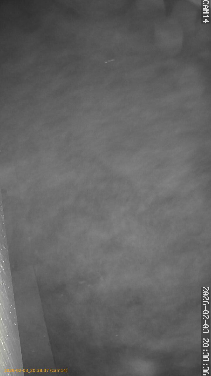 thumbnail_20260203203837