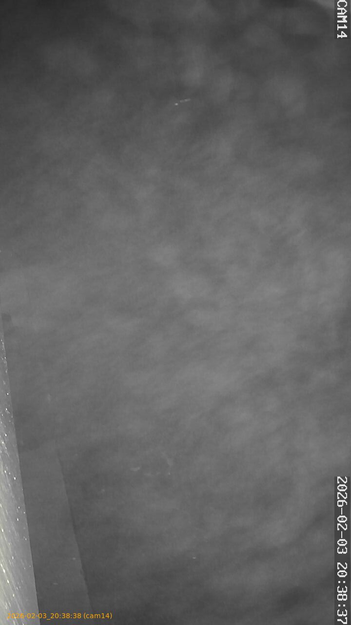 thumbnail_20260203203838