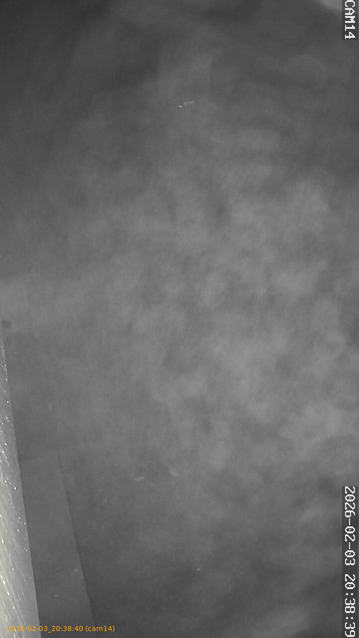 thumbnail_20260203203840