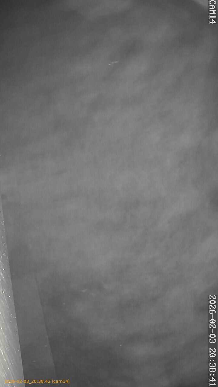 thumbnail_20260203203842