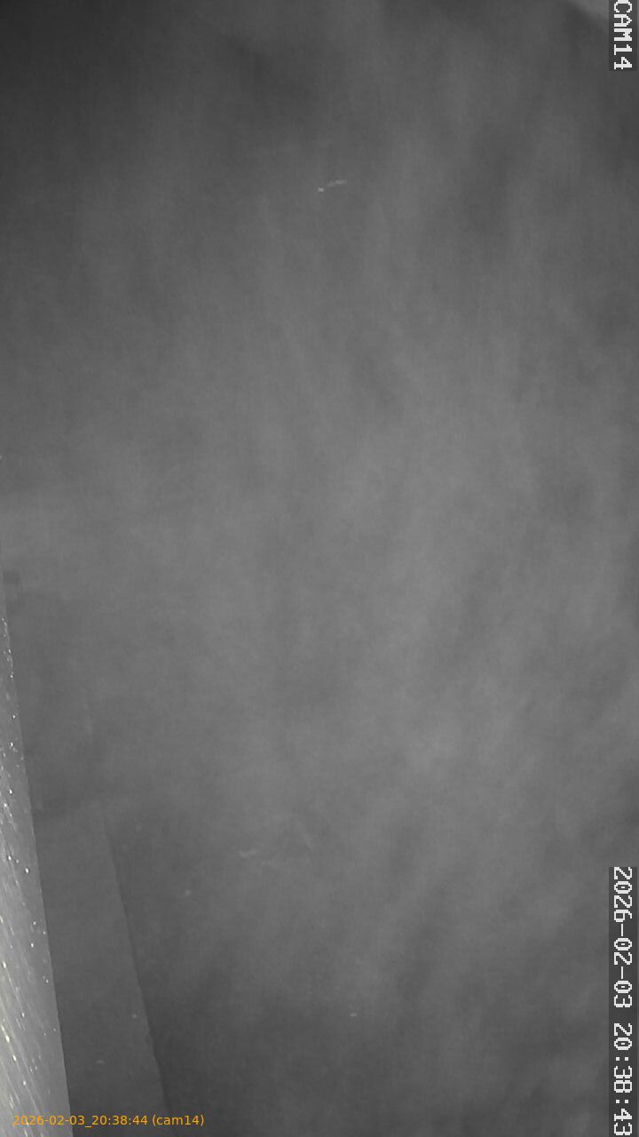 thumbnail_20260203203844