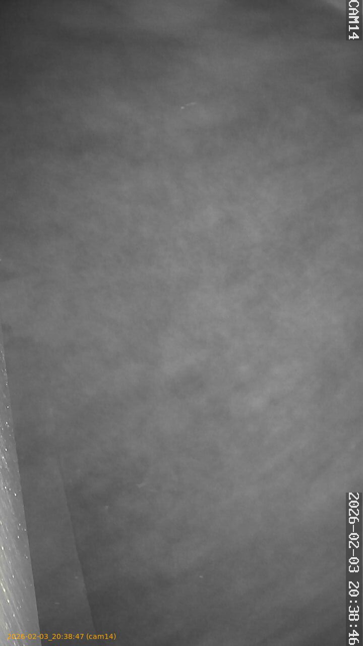 thumbnail_20260203203847