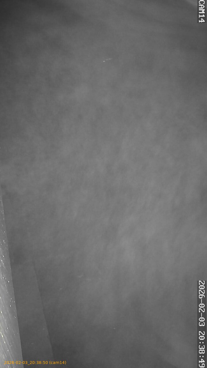 thumbnail_20260203203850