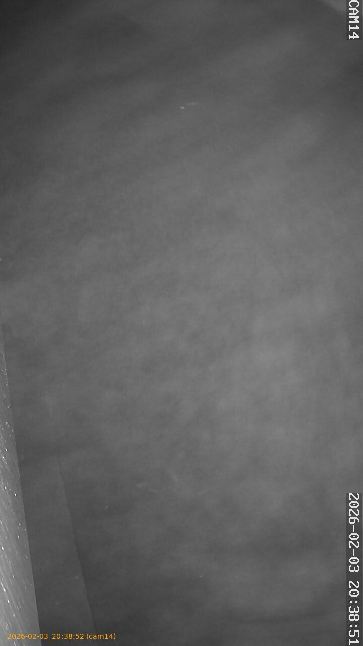 thumbnail_20260203203852