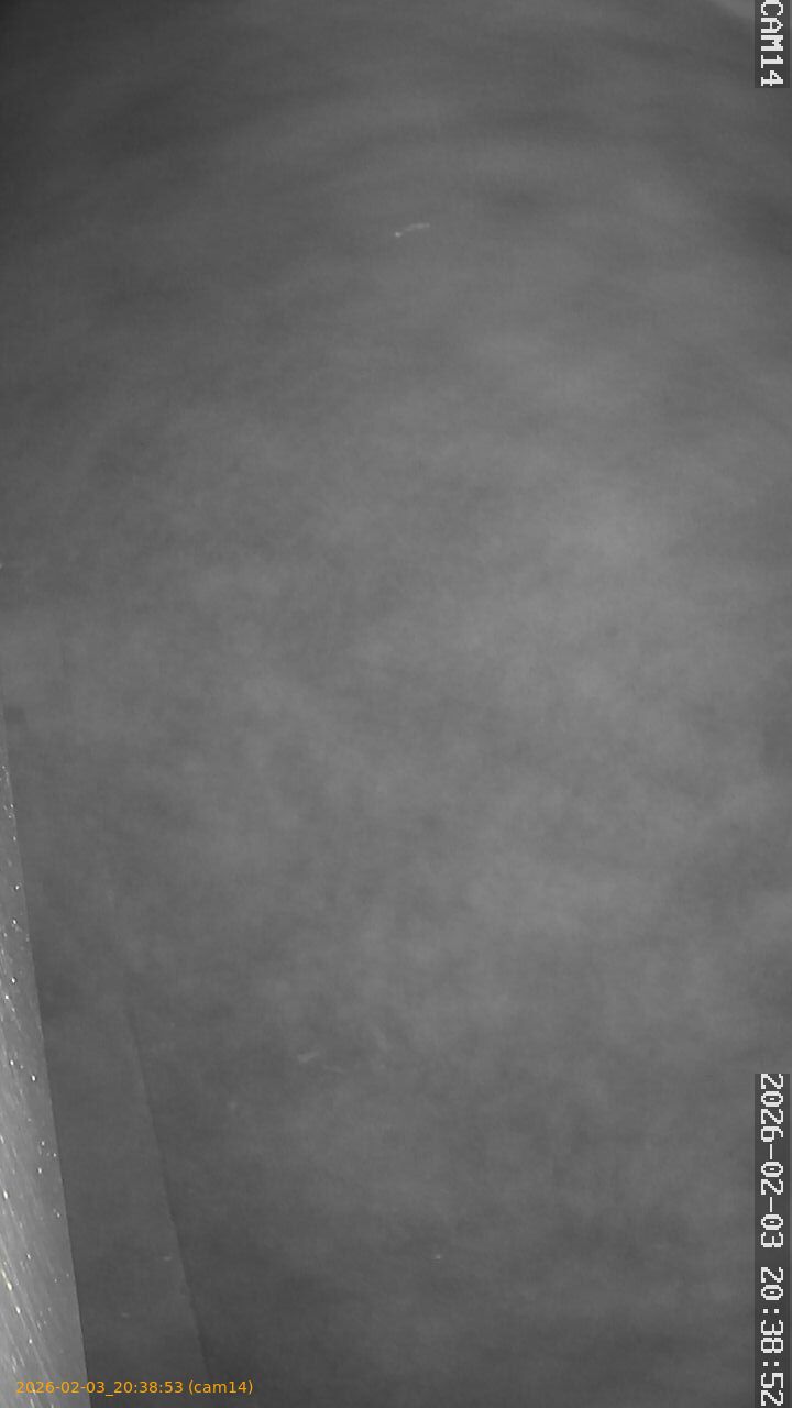 thumbnail_20260203203853