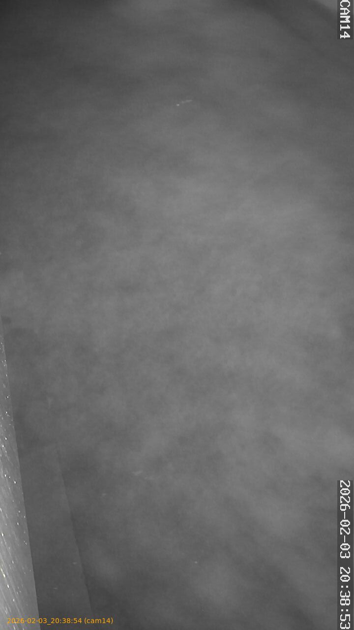 thumbnail_20260203203854