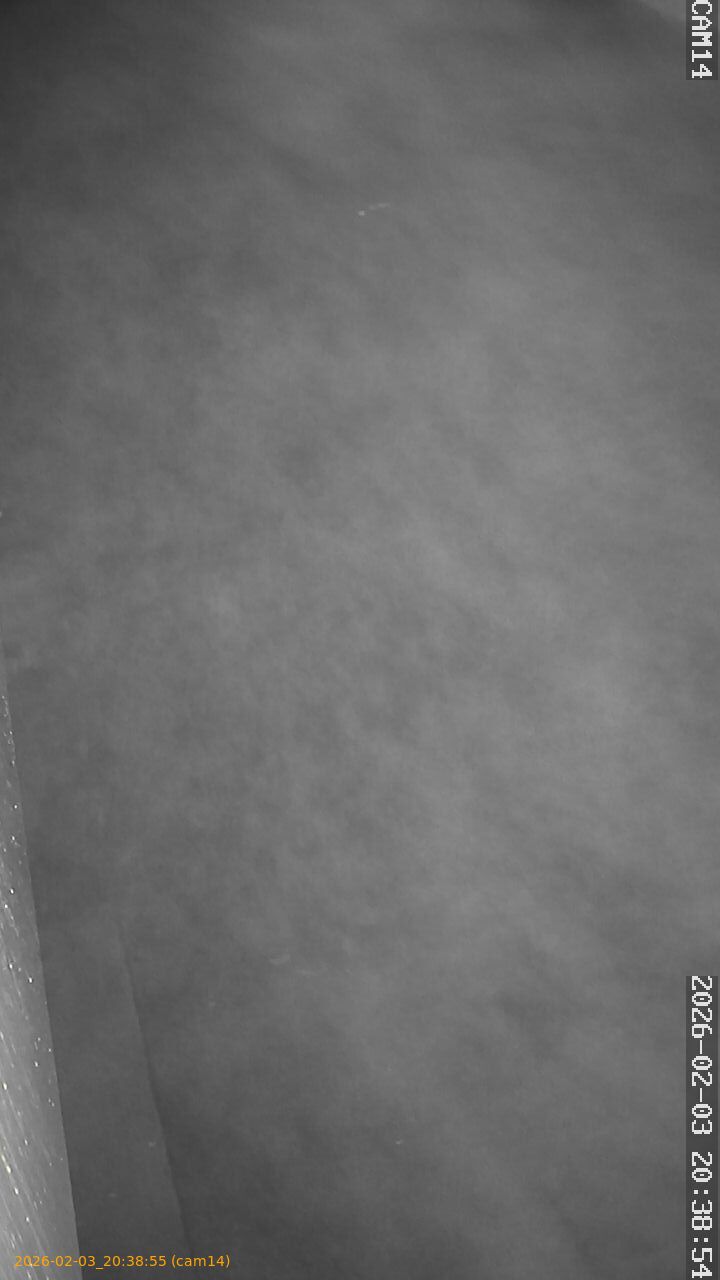 thumbnail_20260203203855