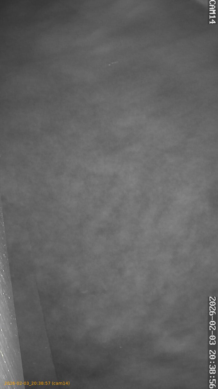 thumbnail_20260203203857