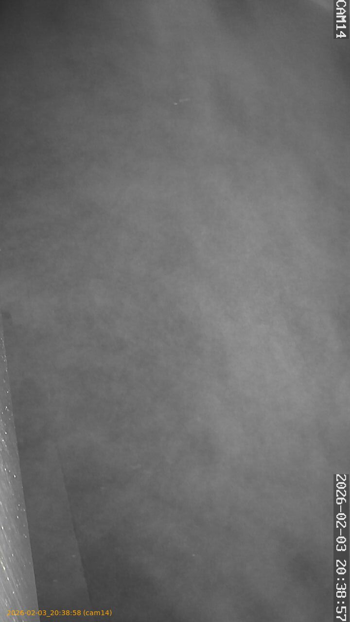 thumbnail_20260203203858