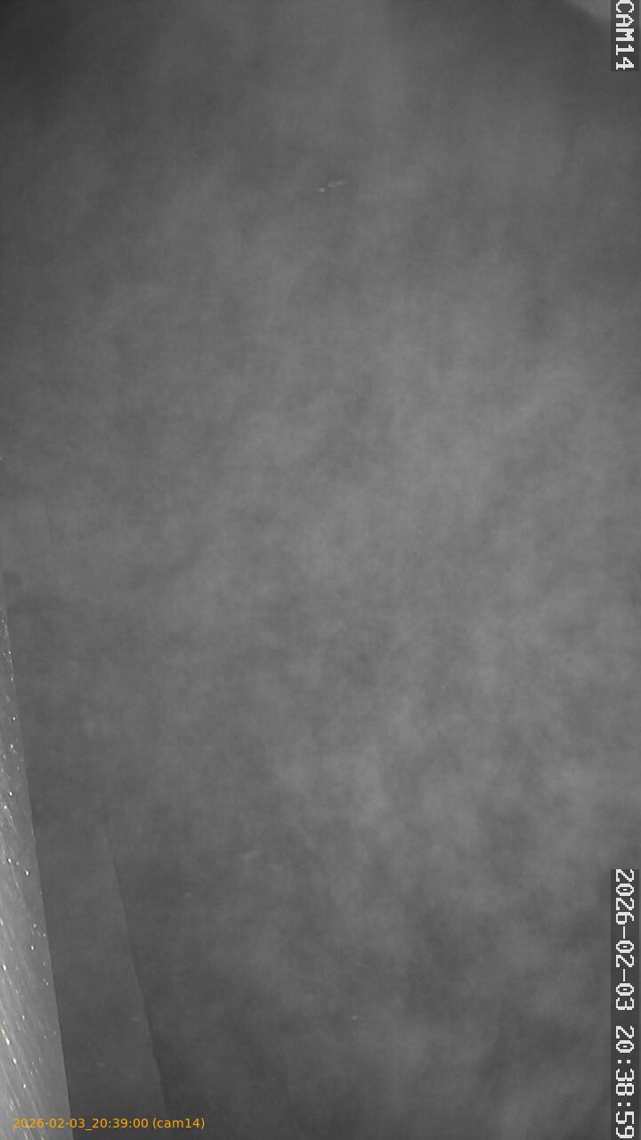 thumbnail_20260203203900