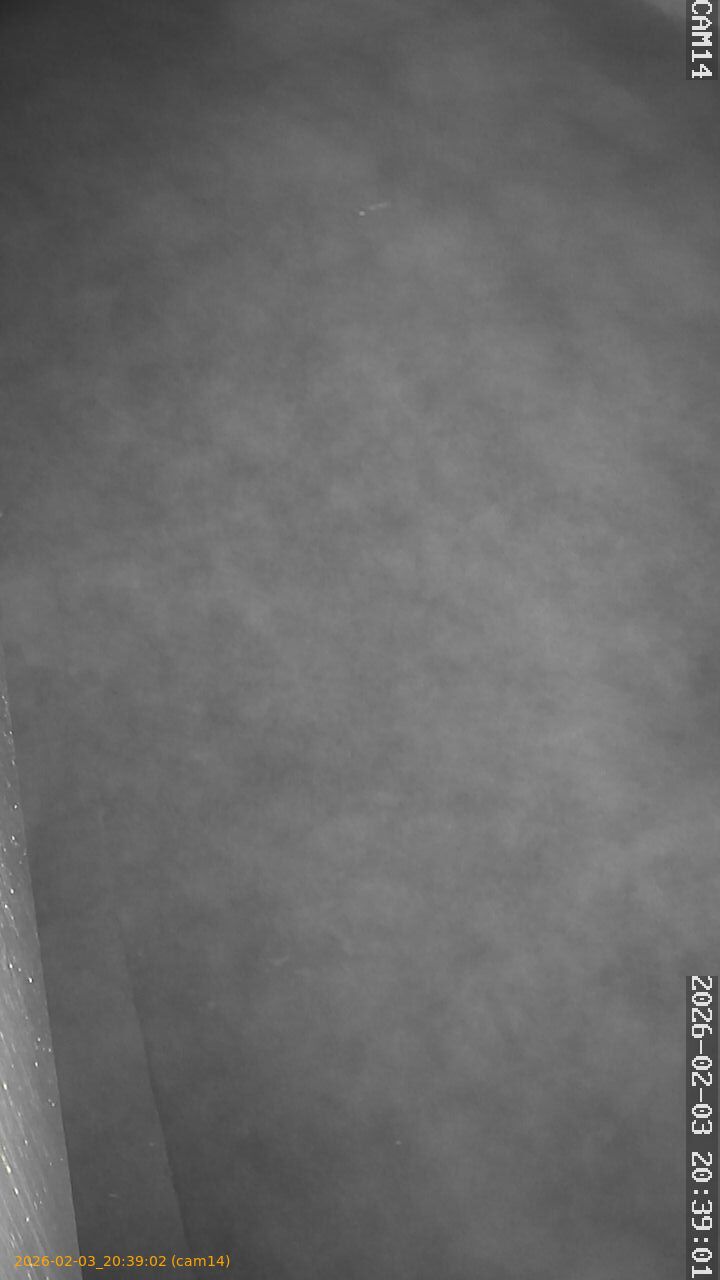 thumbnail_20260203203902