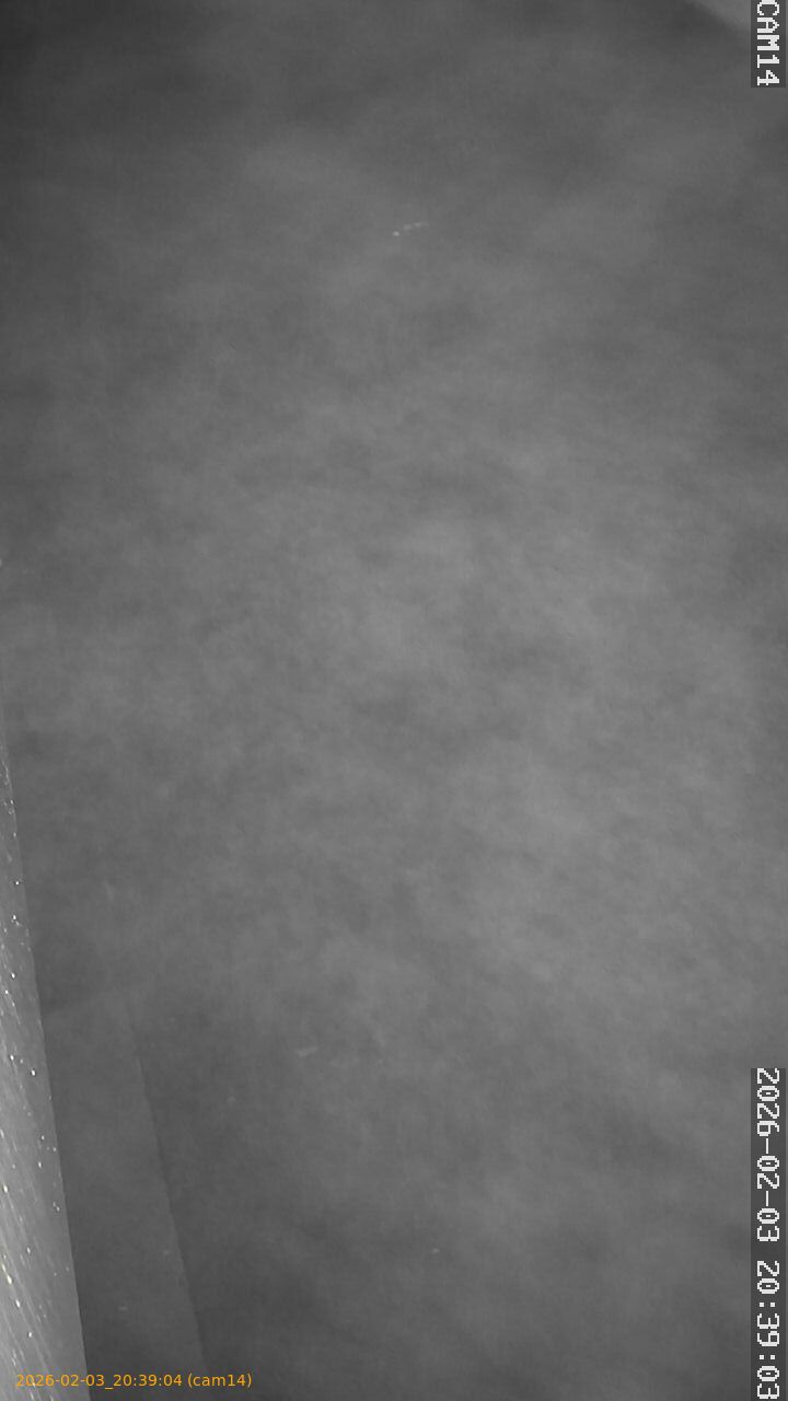 thumbnail_20260203203904