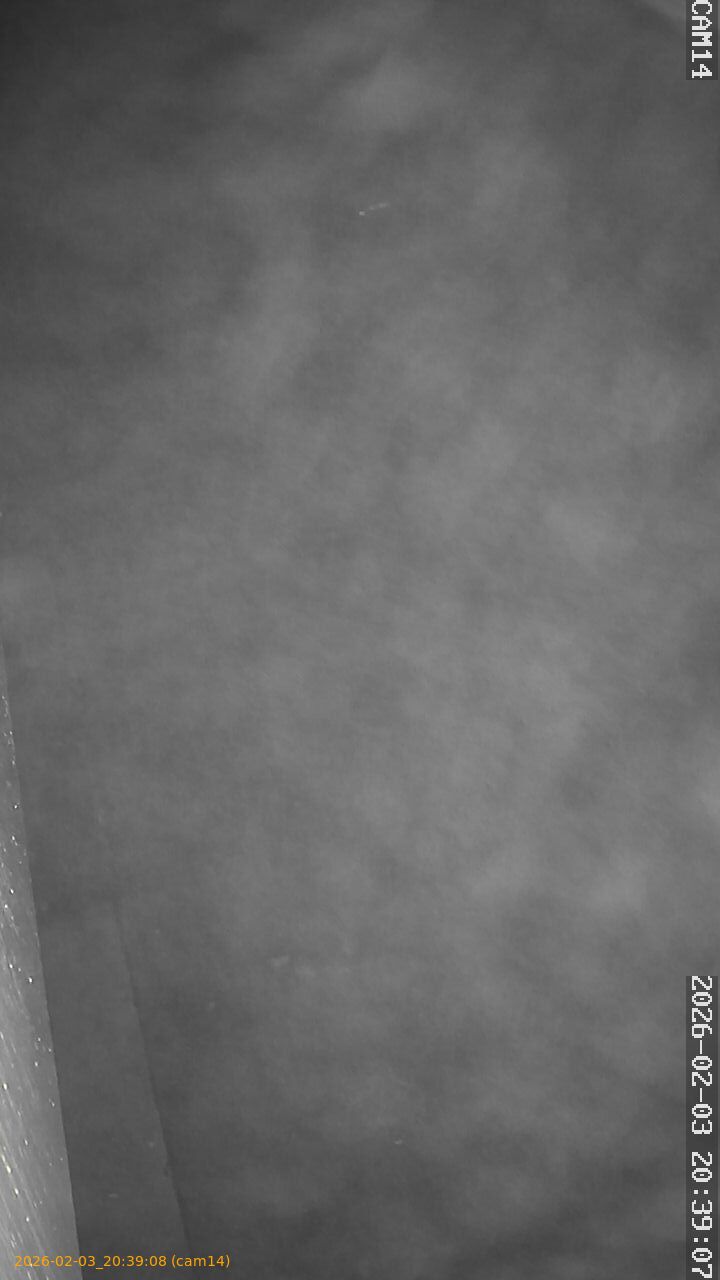 thumbnail_20260203203908